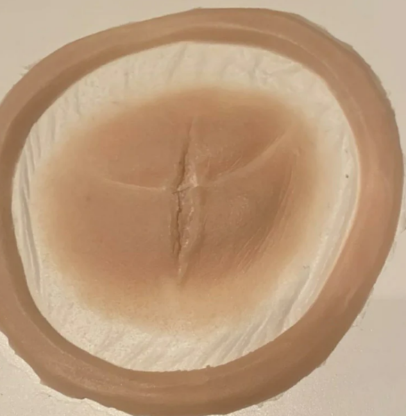 Eye Slash Prosthetics